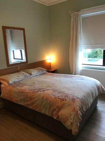 دبلن Sycamore House B&B المظهر الخارجي الصورة