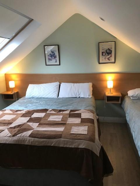 دبلن Sycamore House B&B المظهر الخارجي الصورة